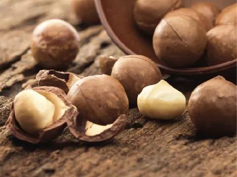Macadamia Nuts