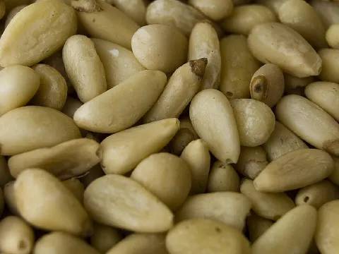 Pine Nuts