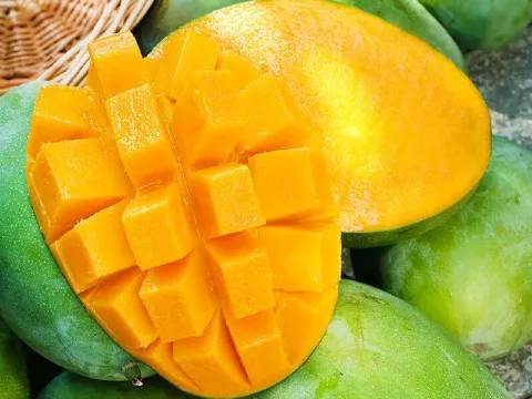 Mango