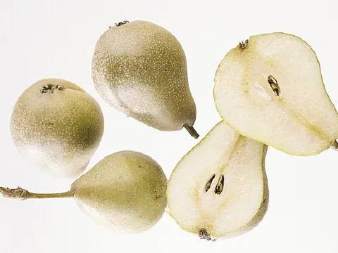 Pear