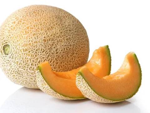 Cantaloupe