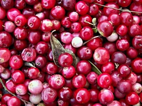 Cranberries