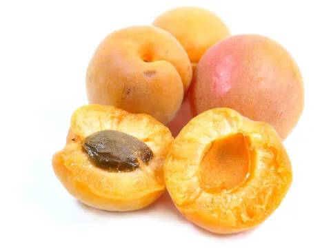 Apricot