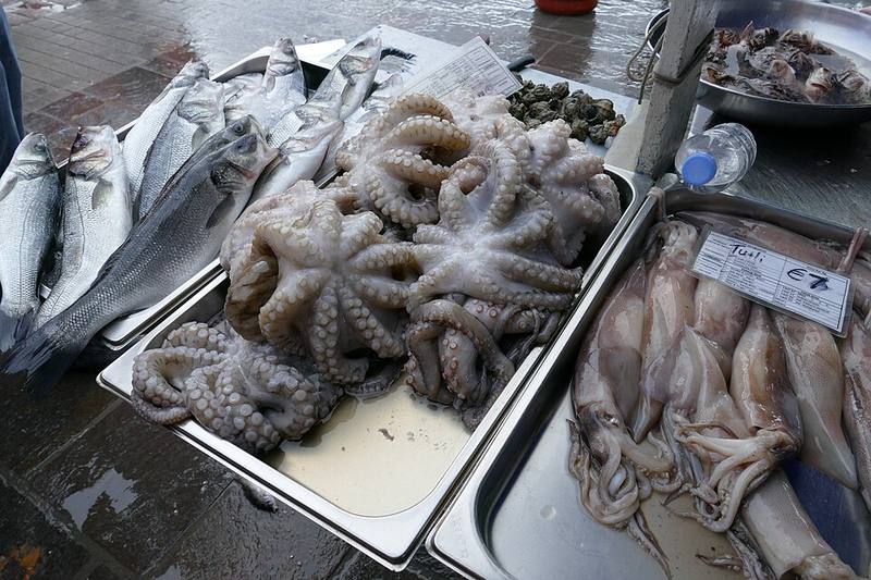 Octopus