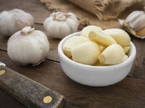 Garlic