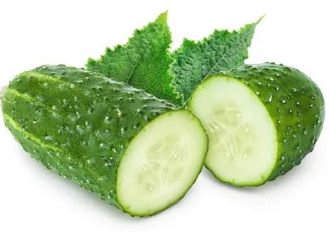 Cucumber