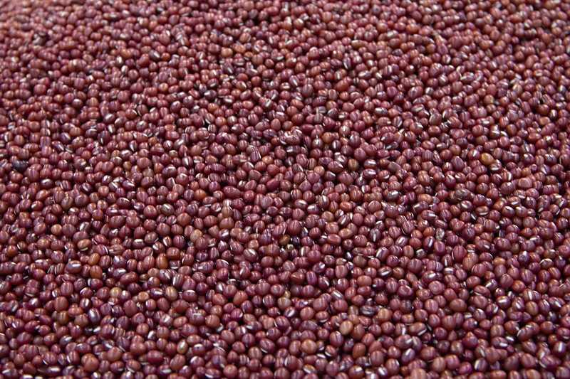 Adzuki Beans