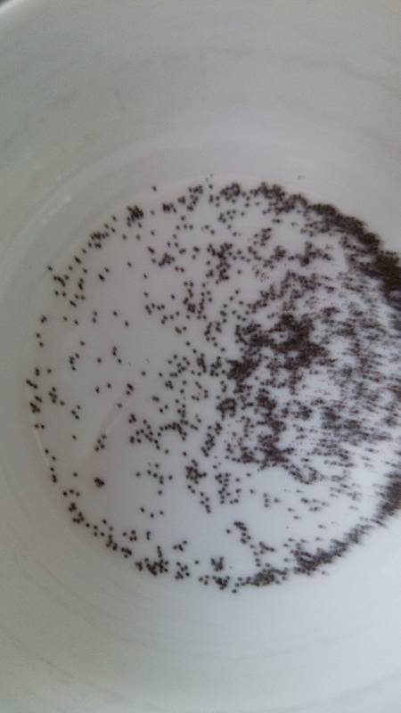 Poppy Seeds